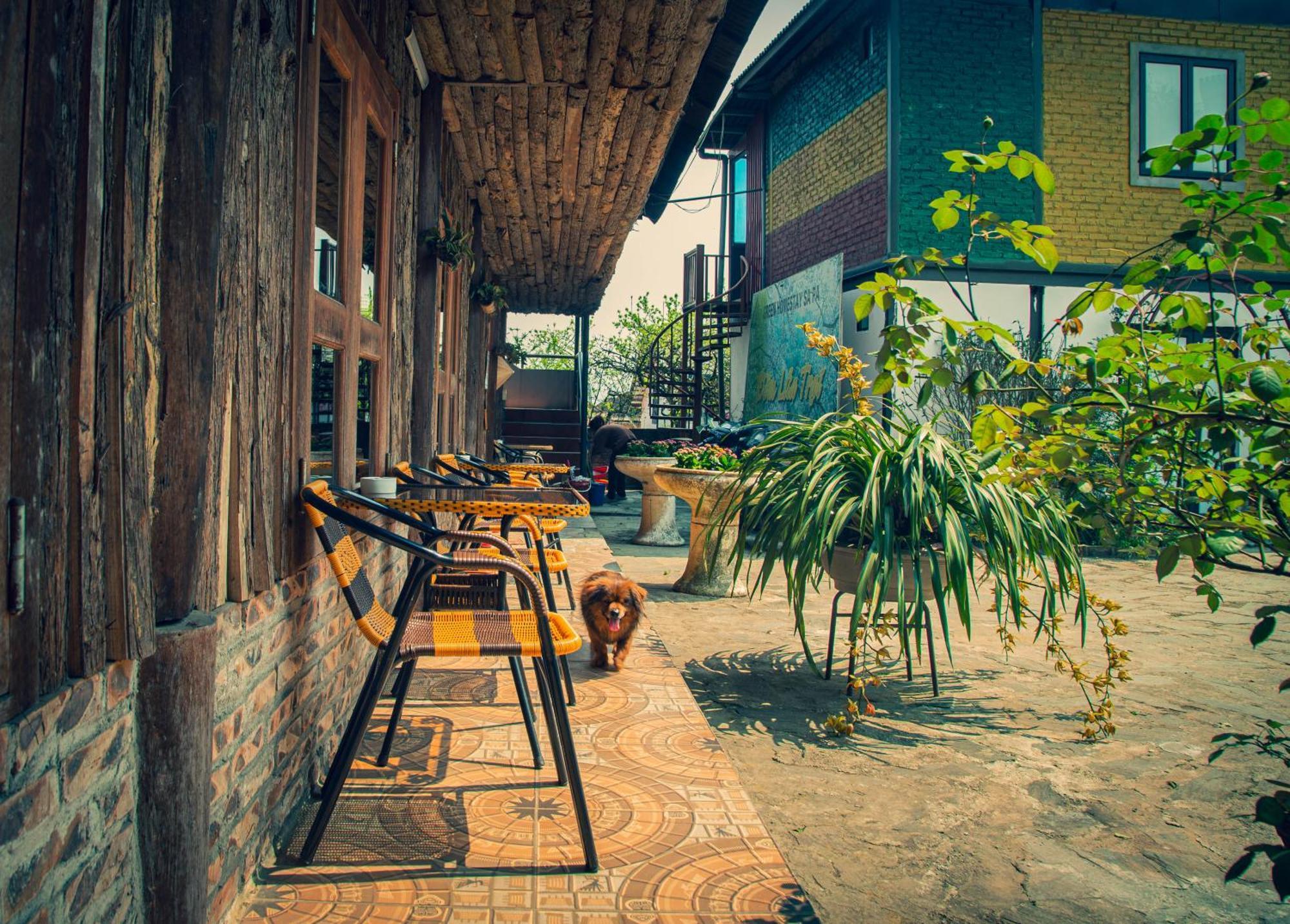 Green Sapa Homestay エクステリア 写真